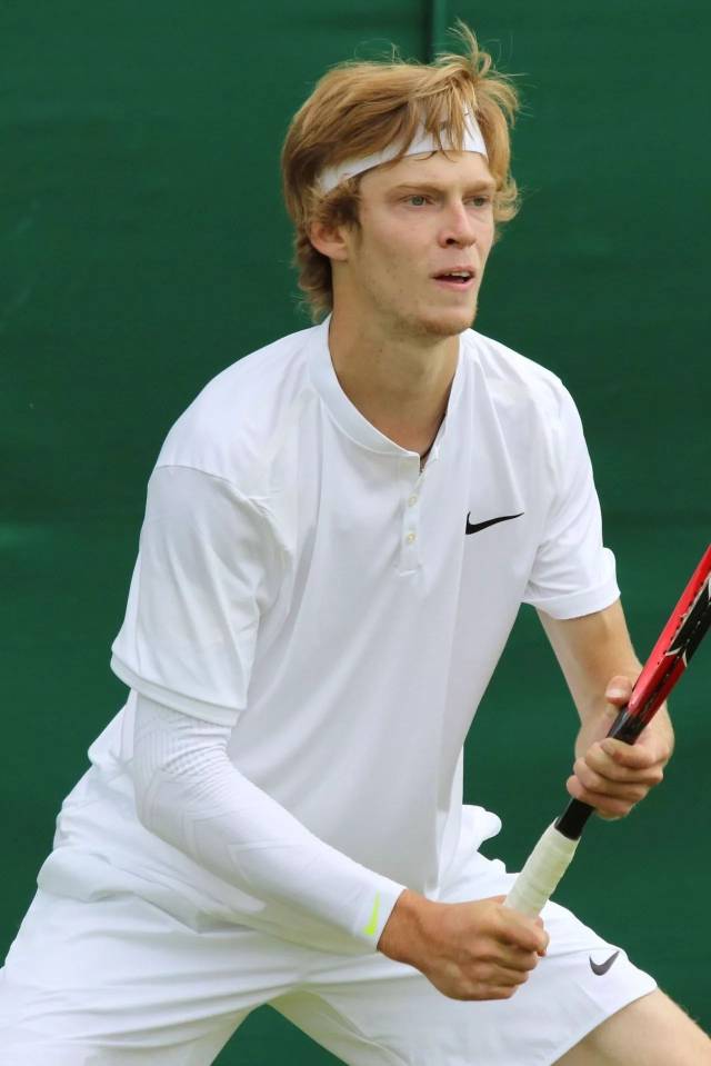 近年来在马 近年来在马