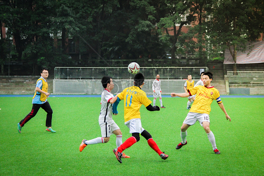 国际合作 国际合作