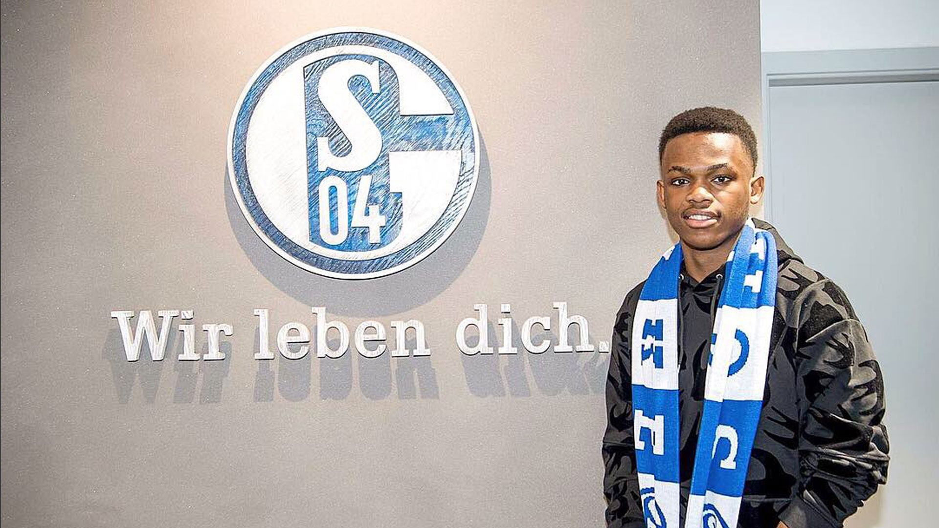 也彰显了中 也彰显了中